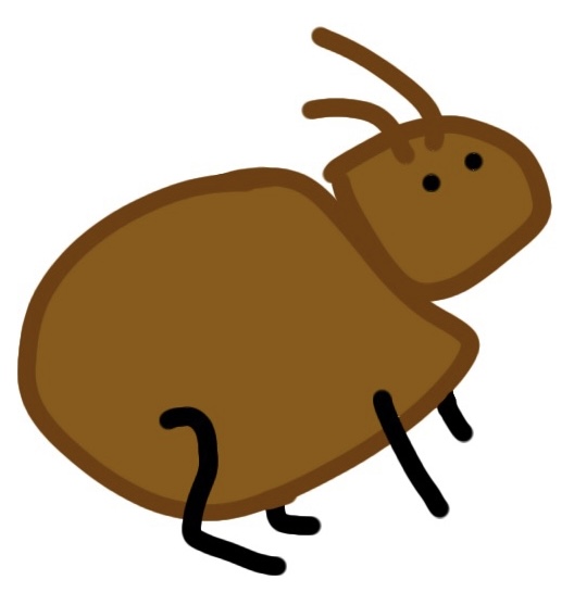 編集専用持論展開系かめさん